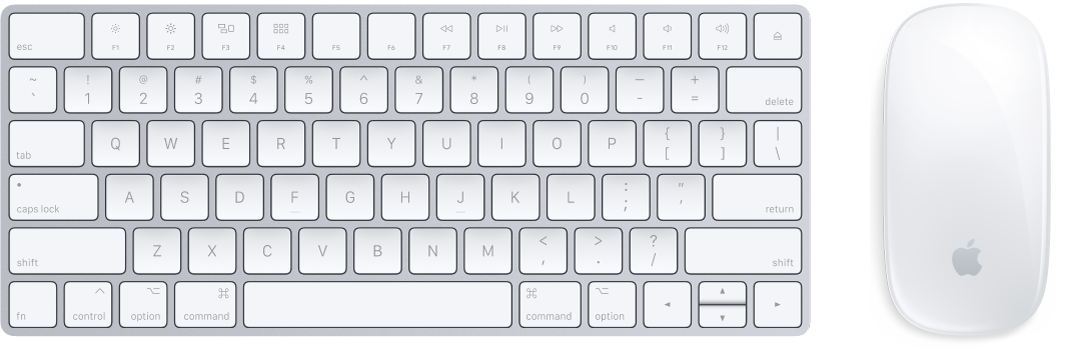 The Magic Keyboard and Magic Mouse 2, which come with your iMac.