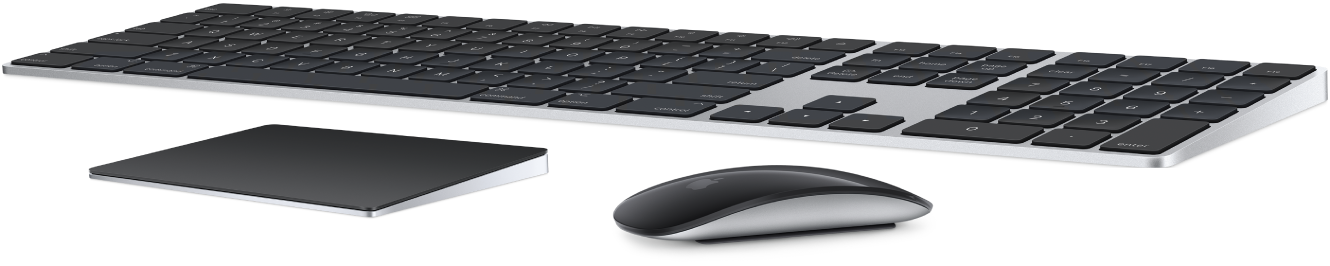 The Magic Keyboard with Numeric Keypad and Magic Mouse, which come with your Mac Pro.
