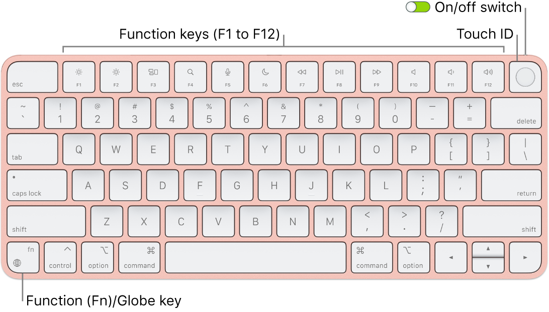 The Magic Keyboard with Touch ID showing the row of function keys and Touch ID across the top, and the Function (Fn)/Globe key in the lower-left corner.