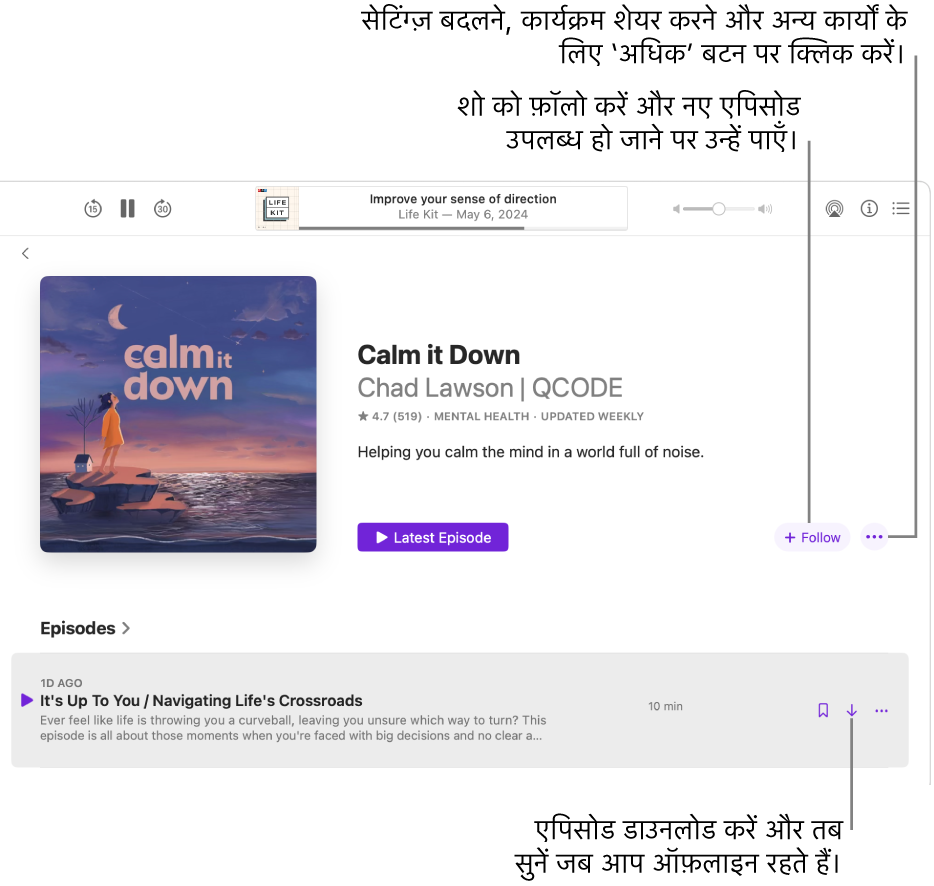 पॉडकास्ट के लिए एक सूचना पृष्ठ, जो फ़ॉलो, अधिक और डाउनलोड बटन दिखाता है।