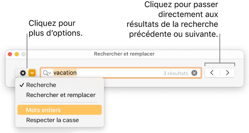 La fenêtre Rechercher et remplacer avec le menu local présentant les options Rechercher, Rechercher et remplacer, Mots entiers et Respecter la casse. Les flèches à droite permettent d’accéder directement aux résultats de recherche suivants ou précédents.