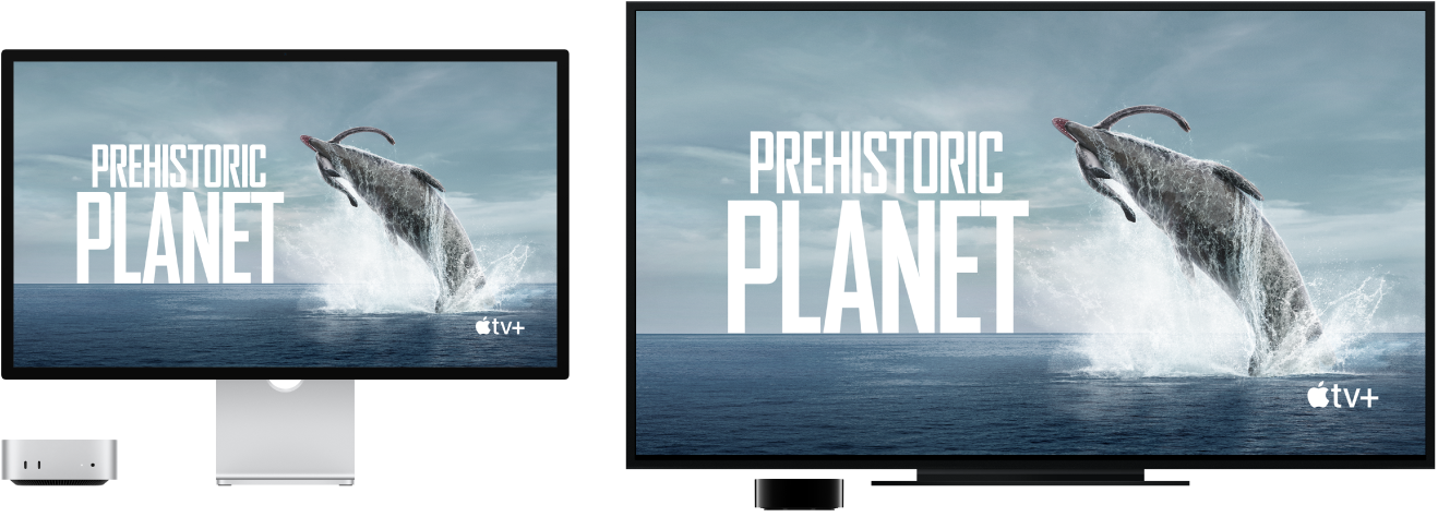 A Mac mini with its content mirrored on a large HDTV using an Apple TV.