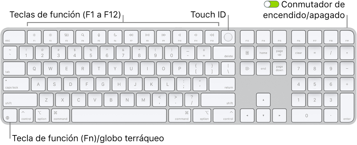 Magic Keyboard con Touch ID y teclado numérico, con la fila de teclas de función y Touch ID en la parte superior, y la tecla del globo terráqueo o función (Fn) a la derecha de la tecla Suprimir.