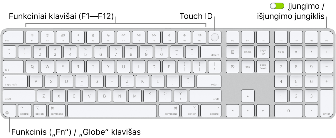 „Magic Keyboard“ su „Touch ID“ ir skaitmenų klaviatūra, viršuje matosi funkcinių klavišų eilė, „Touch ID“, o klavišo „Delete“ dešinėje – klavišas „Function“ („Fn“) / „Globe“.