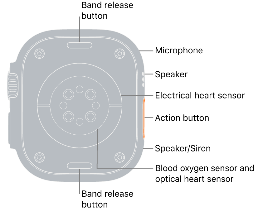 The back of Apple Watch Ultra, with the band release buttons at top and bottom. On the side, callouts point to a microphone, a speaker, the electrical heart sensor, the Action button, a speaker port from which the siren emits, blood oxygen sensors, and optical heart sensors.