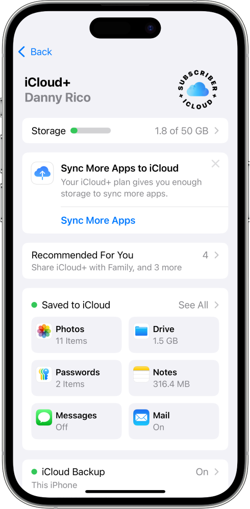 La schermata Impostazioni con le funzioni di iCloud attivate.
