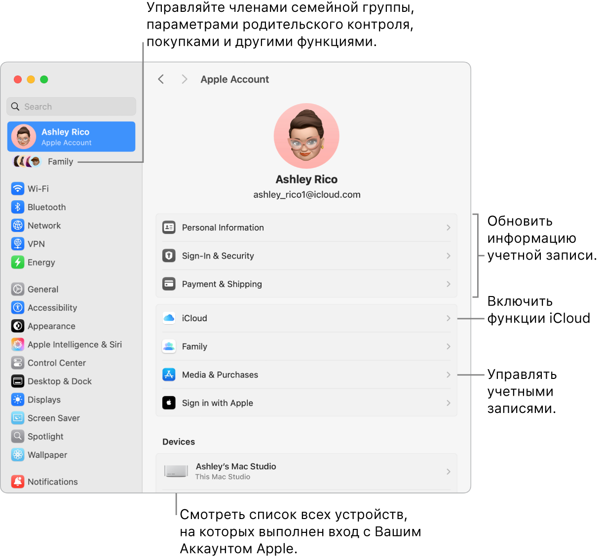 Настройки Аккаунта Apple в Системных настройках. Сносками показаны параметры обновления сведений учетной записи, включения или выключения функций iCloud и управления настройками учетных записей для мультимедиа. В настройках Семейного доступа показаны параметры управления устройствами членов семьи, родительским контролем, покупками и многим другим.