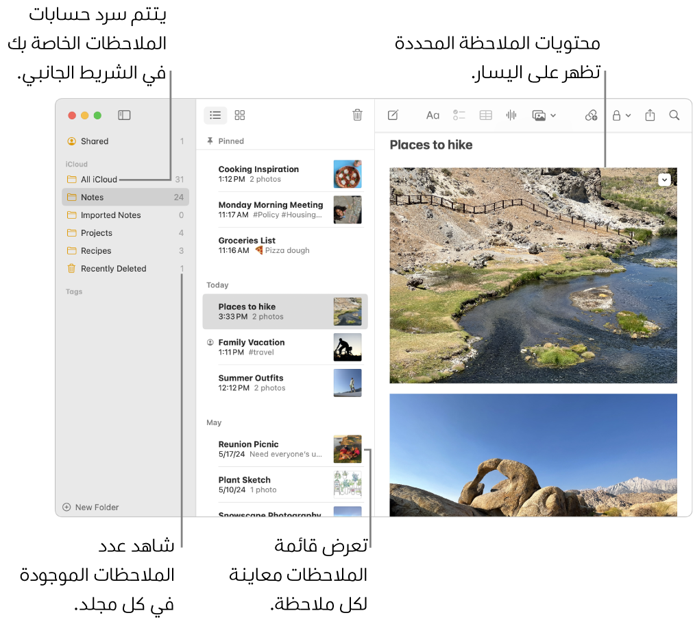 نافذة تطبيق الملاحظات على Mac وبها كل حساباتك ومجلداتك المكوَّنة مدرجة في الشريط الجانبي على اليمين، وقائمة الملاحظات في المنتصف تعرض معاينة لكل ملاحظة، ومحتوى الملاحظة المحددة ظاهر على اليسار. يظهر عدد الملاحظات بجوار كل مجلد.