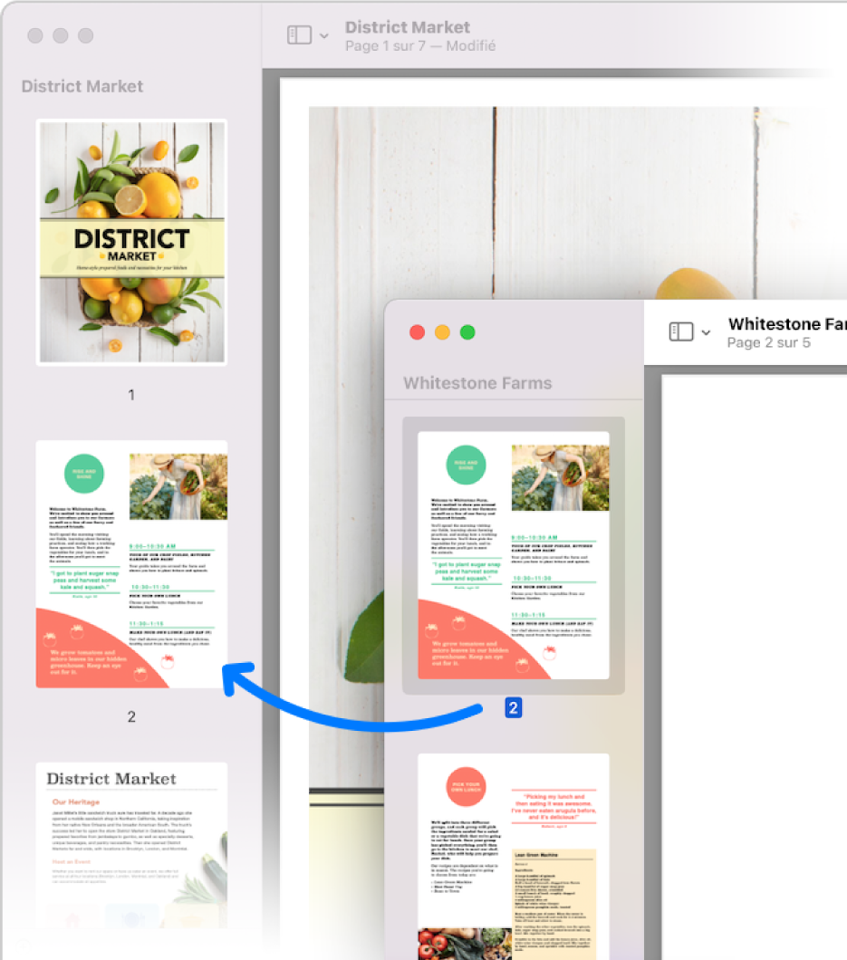 L’utilisateur fait glisser une vignette de page de la barre latérale d’un fichier PDF vers celle d’un autre.