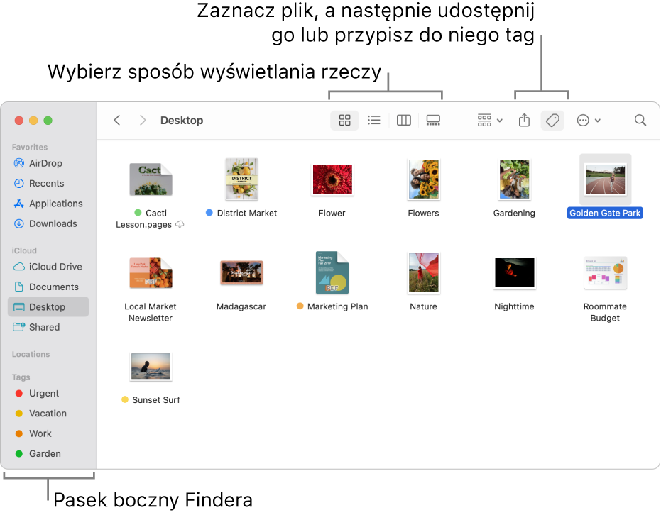 Okno Findera z paskiem bocznym widocznym po lewej. Na górze okna widoczne są cztery przyciski zmieniające sposób wyświetlania rzeczy w oknie, a także dodatkowe przyciski do porządkowania i udostępniania rzeczy.
