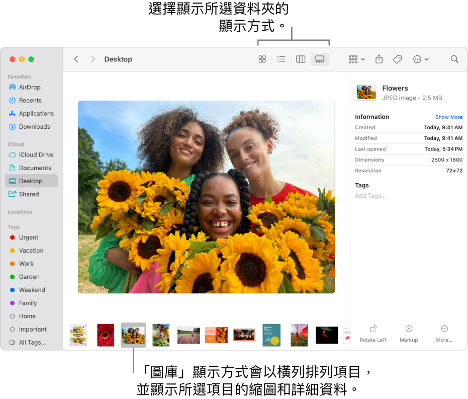 Finder 視窗,左側顯示 Finder 側邊欄,視窗的底部顯示一個已選取的影像檔案。 中間為「預覽」面板,面板顯示影像外觀,其下方顯示影像詳細資料,右邊則為「快速動作」按鈕。