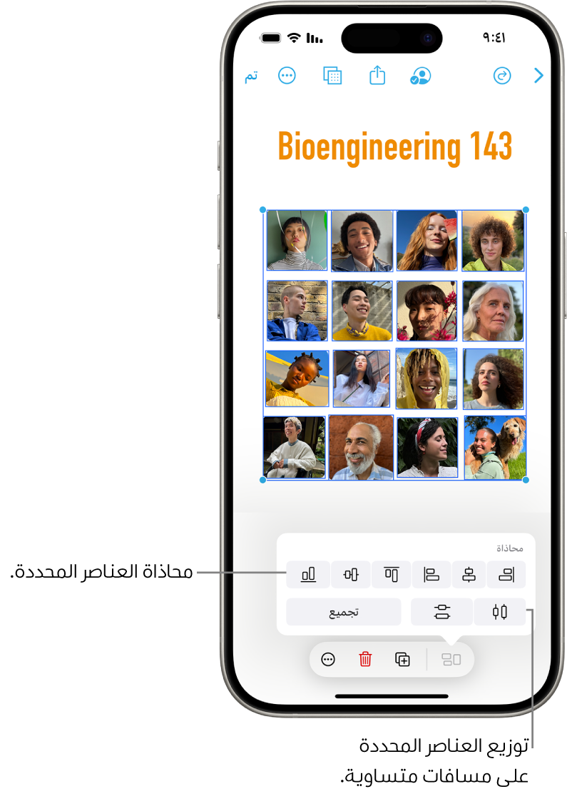 لوحة في تطبيق المساحة الحرة تملؤها عدة صور في شبكة. صور متعددة محددة، وتظهر أدوات المحاذاة والتجميع فوقها.