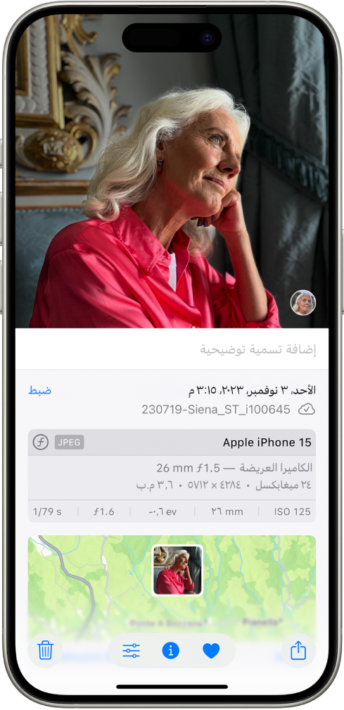 صورة مفتوحة في تطبيق الصور. يعرض النصف السفلي من الشاشة معلومات عن الصورة بما في ذلك، من أعلى إلى أسفل، التاريخ والوقت، واسم الملف، وطراز iPhone، وإعدادات الكاميرا، وخريطة الموقع الذي التقِطت فيه الصورة.