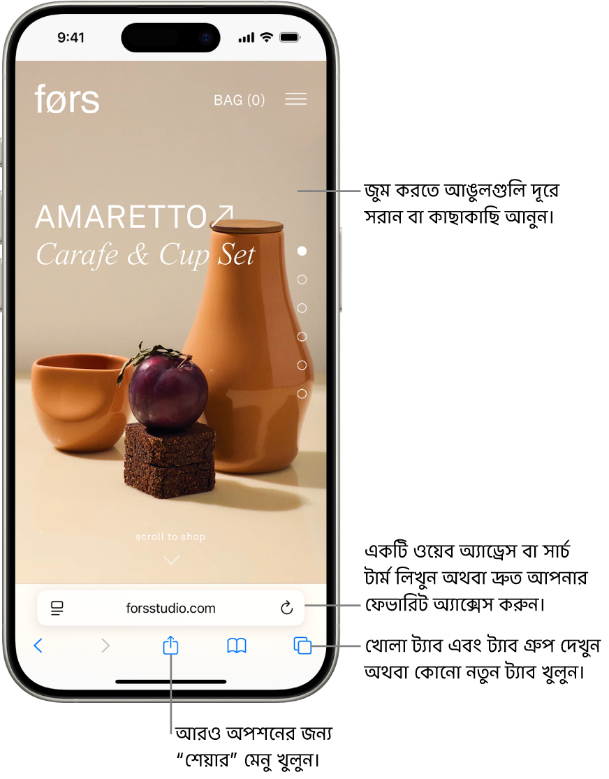 নিচে অ্যাড্রেস ফিল্ডসহ একটি ওয়েবসাইট Safari-তে খোলা আছে। নিচে, বামদিক থেকে ডানদিকে, ব্যাক, ফরওয়ার্ড, শেয়ার, বুকমার্ক এবং ট্যাব বাটন রয়েছে।