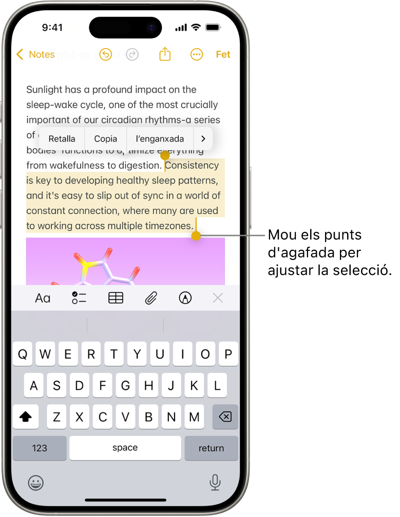 En una nota de l’app Notes se selecciona un fragment de text. A sobre del text seleccionat hi ha els botons “Retalla”, “Copia”, “Enganxa” i “Autocompleta”. El text seleccionat està ressaltat, i a cada extrem té un punt d’agafada per ajustar la selecció.