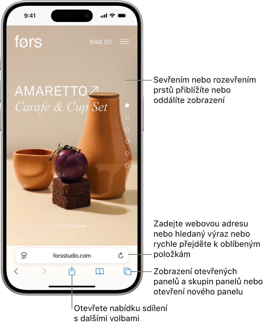 Otevřená webová stránka v Safari s polem adresy u dolního okraje. Dole se zleva doprava nacházejí tlačítka Zpět, Vpřed, Sdílet, Záložky a Panely.