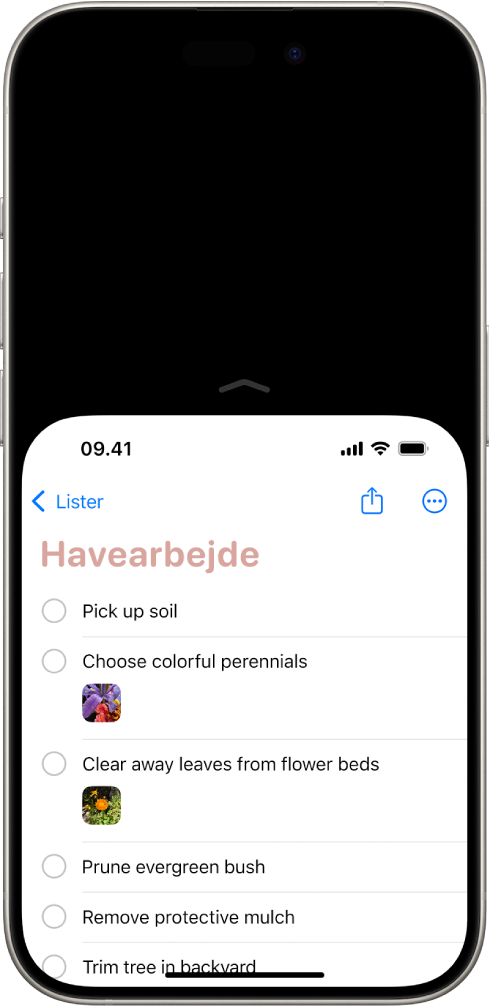 iPhone-skærmen med Inden for rækkevidde aktiveret. Den øverste del af skærmen er flyttet ned, så du nemt kan nå den med tommelfingeren.