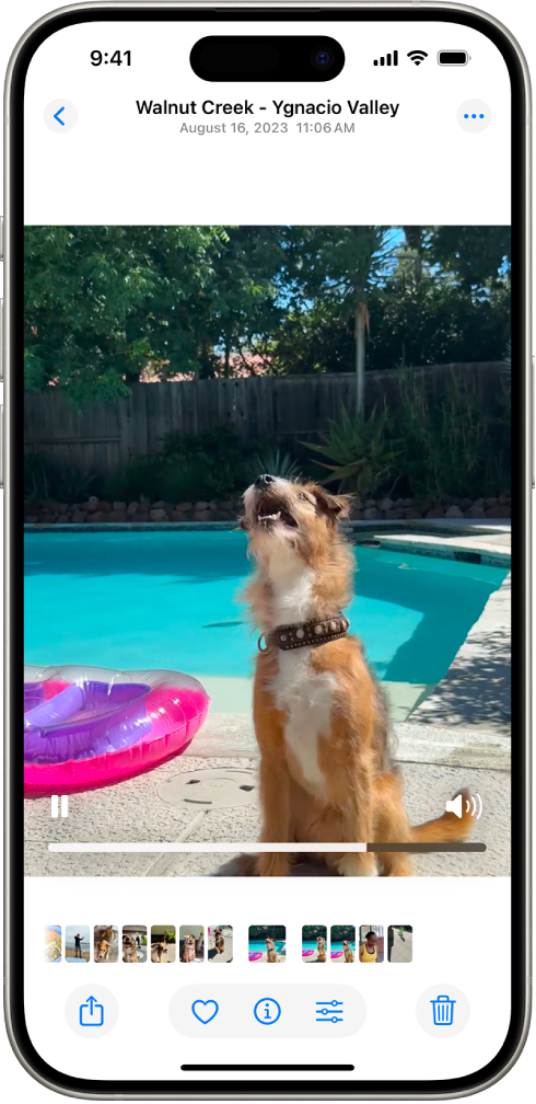 An open video with a Play/Pause button, a progress bar, and a Mute/Volume button along the bottom. At the top right is a Close button to go back to browsing.