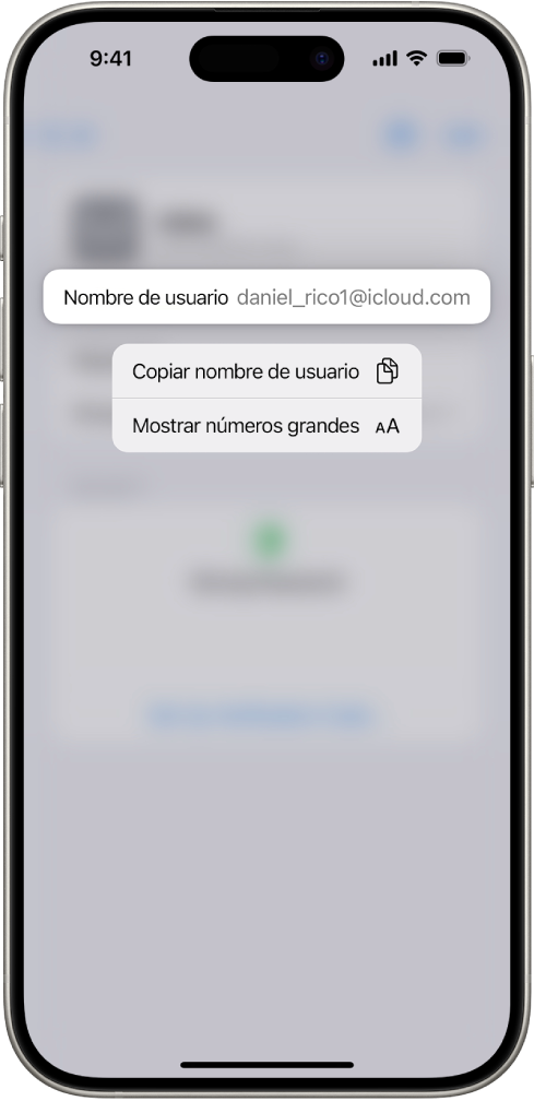 La pantalla de una cuenta mostrando el nombre de usuario resaltado, con las opciones Copiar nombre de usuario y Mostrar números grandes.