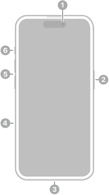 Vista frontal del iPhone 15 Pro. La cámara frontal se encuentra en la parte superior central. El botón lateral está en el lado derecho. El conector USB-C está en la parte inferior. En el lado izquierdo, de abajo a arriba, se encuentran la bandeja SIM, los botones de volumen y el botón Acción.