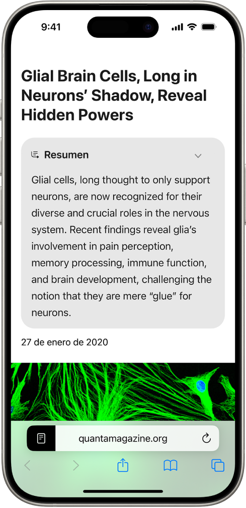 iPhone con un sitio web en la app Safari. En la parte superior de la pantalla hay un resumen del sitio web.