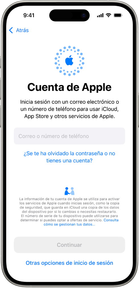 Pantalla de inicio de sesión en la cuenta de Apple.