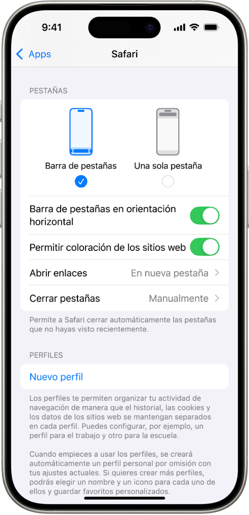 Pantalla con dos opciones de disposición de Safari: “Barra de pestañas” y “Una sola pestaña”.
