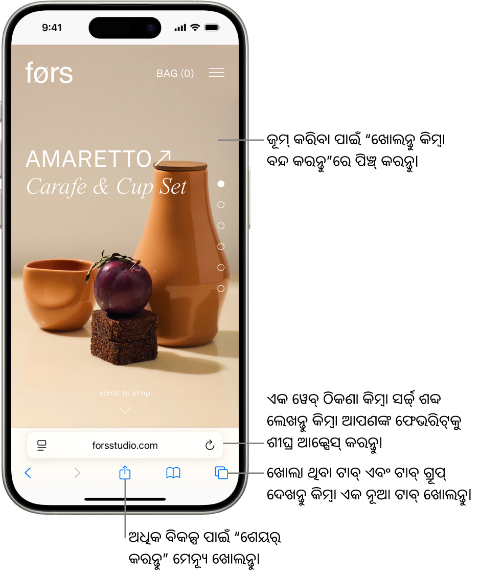 Safariରେ ଖୋଲାଥିବା ଏକ ୱେବ୍ସାଇଟ୍, ଯେଉଁଥିରେ ନିମ୍ନରେ ଏକ ଠିକଣା ଫିଲ୍ଡ୍ ଅଛି। ନିମ୍ନରେ, ବାମରୁ ଡାହାଣକୁ, ପଛକୁ, ଆଗକୁ, ଶେୟର୍ କରନ୍ତୁ, ବୁକ୍ମାର୍କ୍ ଏବଂ ଟାବ୍ ବଟନ୍ ଅଛି।