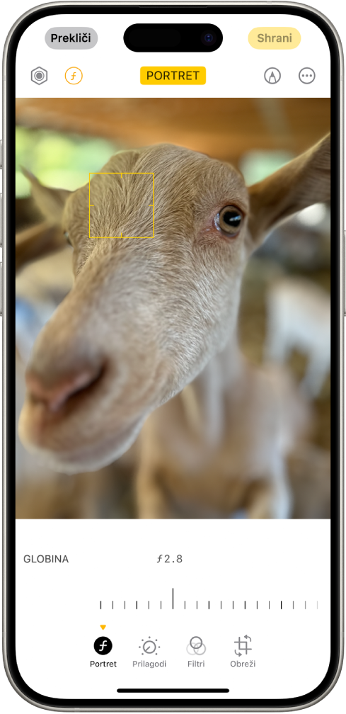 Zaslon Uredi za portret v aplikaciji Fotografije. Portret je na sredini zaslona in pod fotografijo je drsnik za prilagajanje nastavitve Prilagoditev globine. Pod drsnikom so od leve proti desni gumbi Portret, Prilagodi, Filtri in Obreži. Izbran je gumb Portret.