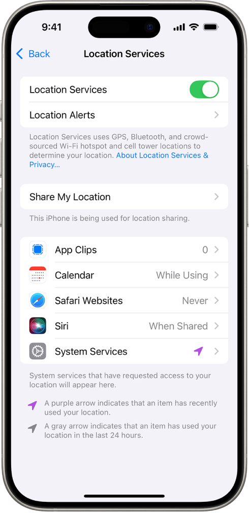 Екран Location Services са подешавањима за дељење локације вашег iPhone-а са апликацијама.