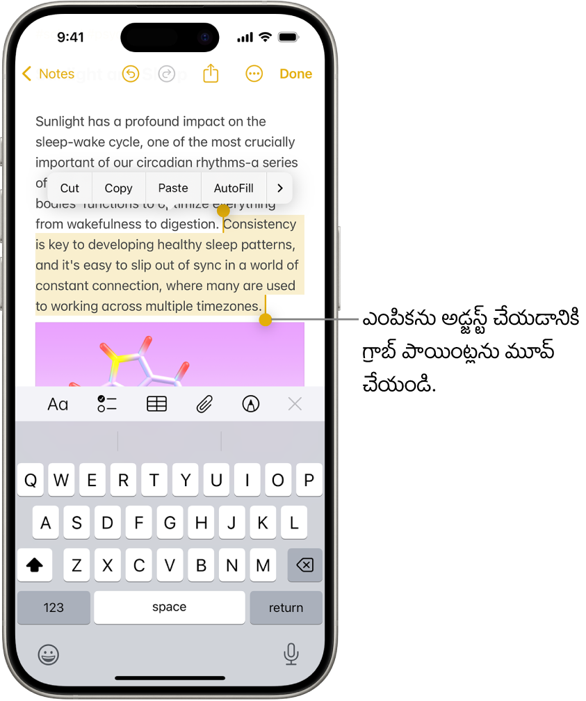 నోట్స్ యాప్లోని గమనికలో టెక్స్ట్ ఎంచుకోబడింది. ఎంచుకున్న టెక్స్ట్ ఎగువన కట్, కాపీ, పేస్ట్, ఆటోఫిల్ బటన్లు ఉన్నాయి. ఎంచుకున్న టెక్స్ట్ హైలైట్ చేయబడింది, దానికి రెండు వైపులా ఎంపికను అడ్జస్ట్ చేయడానికి గ్రాబ్ పాయింట్లు ఉన్నాయి.