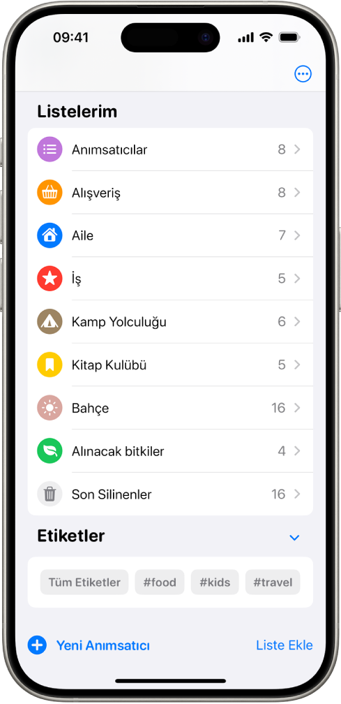 Bir Anımsatıcılar ekranı, en altta birden fazla liste ve Etiket Tarayıcı gösteriliyor.