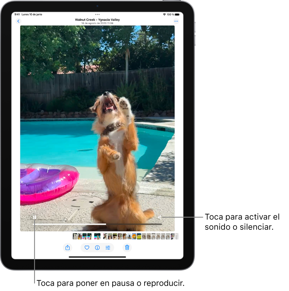El reproductor de vídeo de la app Fotos está en el centro de la pantalla y se está reproduciendo un vídeo. En la parte inferior del vídeo, de izquierda a derecha, están el botón Reproducir/Pausa, una barra de progreso y el botón Silenciar/Volumen.
