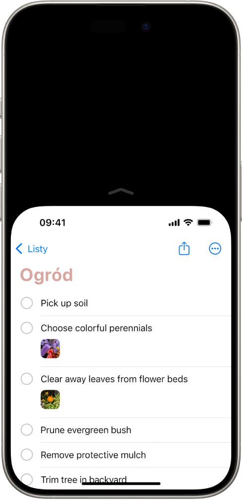 Ekran iPhone’a z włączonym łatwym dostępem. Górna część ekranu została przesunięta w dół, dzięki czemu znajduje się w zasięgu kciuka.